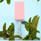 Isla Essence lip oil - Mint
